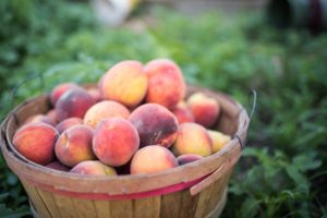 Morath Orchard Peaches